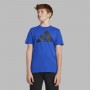 Adidas J BL TEE 160 JC9661 Μπλούζα
