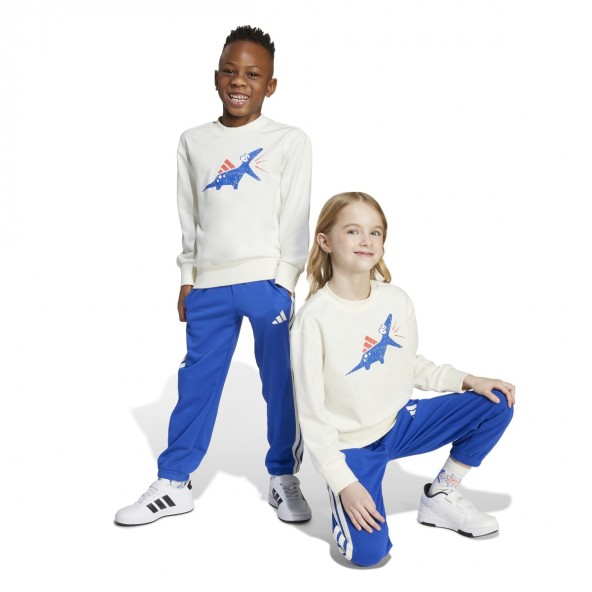 Adidas LK ADRPT SET JV5848 Σετ φόρμα